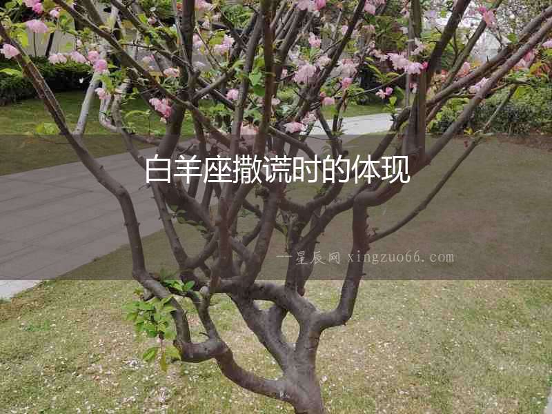 白羊座撒謊時的體現