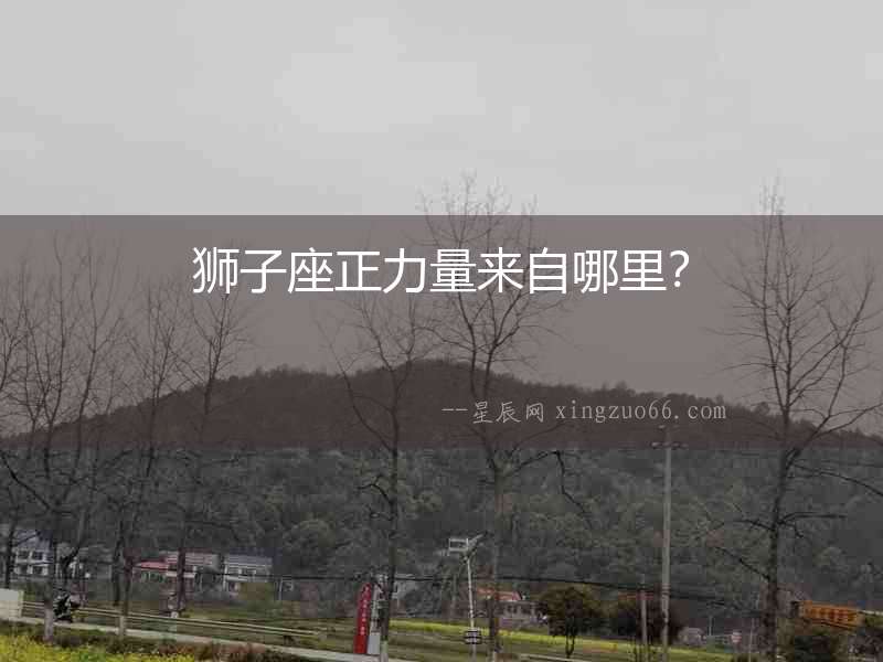 獅子座正力量來(lái)自哪里？