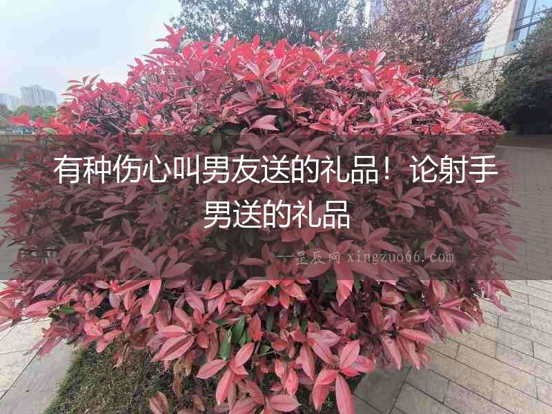 有種傷心叫男友送的禮品！論射手男送的禮品