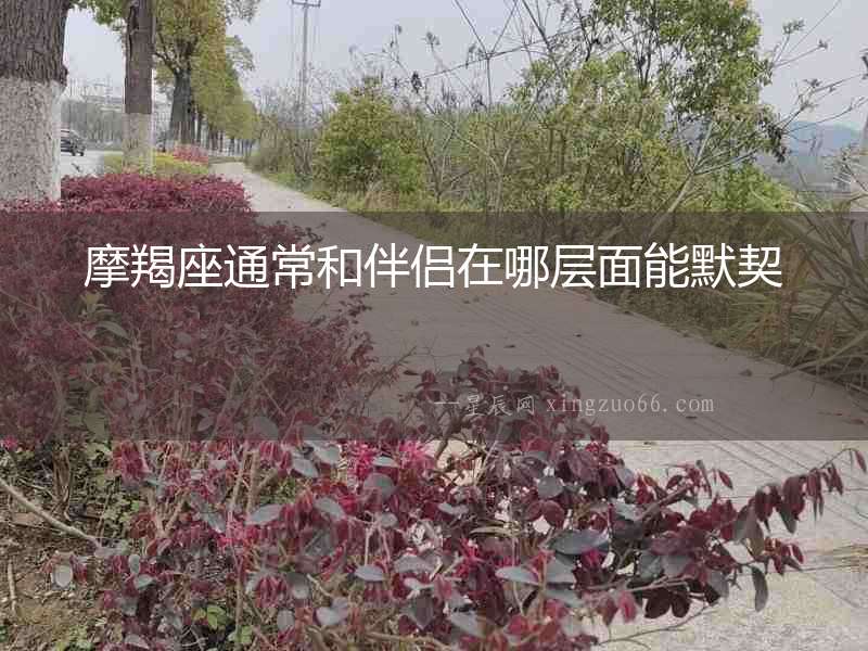 摩羯座通常和伴侶在哪層面能默契