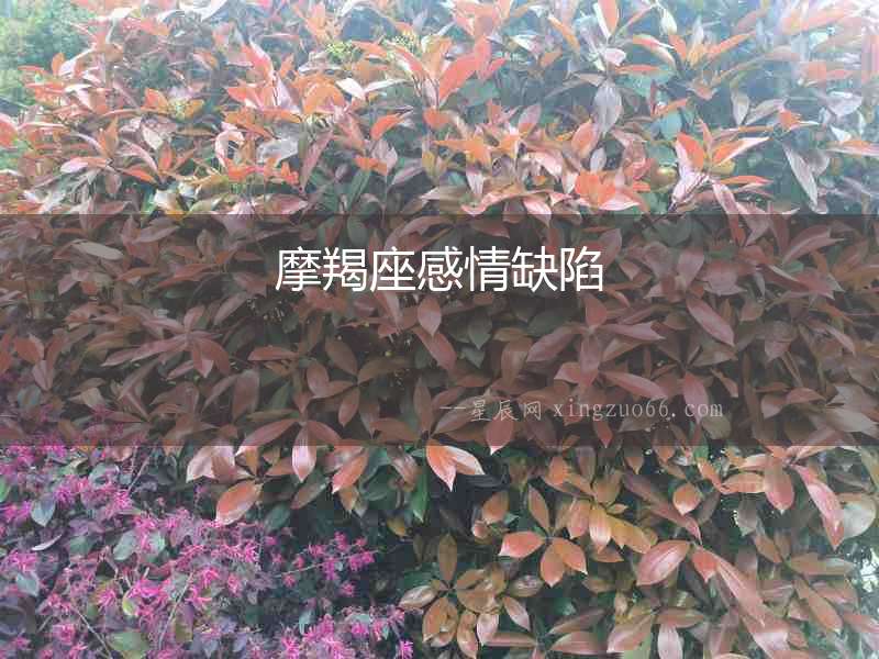 摩羯座感情缺陷