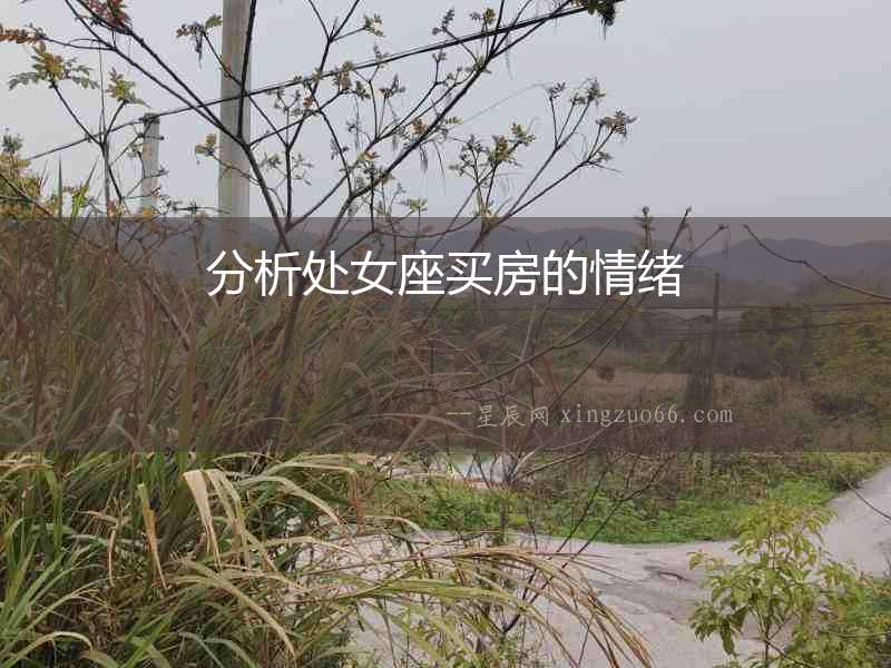 分析處女座買房的情緒