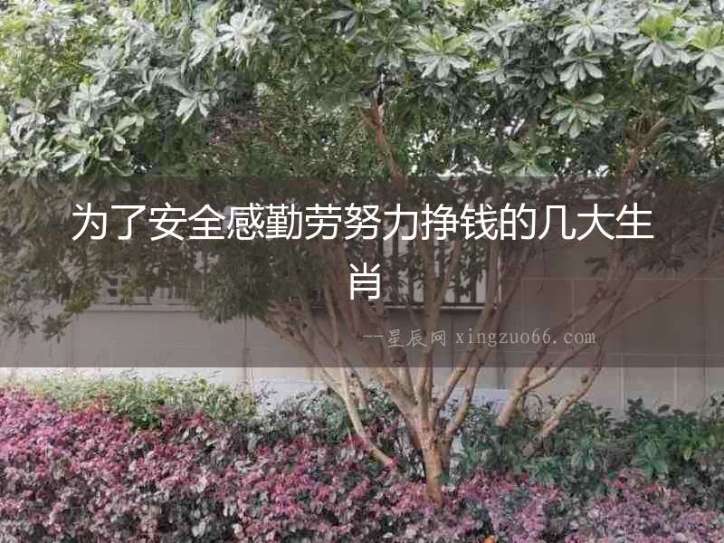 為了安全感勤勞努力掙錢的幾大生肖