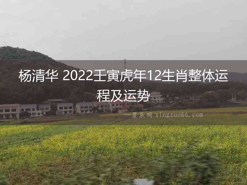 楊清華 2022壬寅虎年12生肖整體運(yùn)程及運(yùn)勢(shì)
