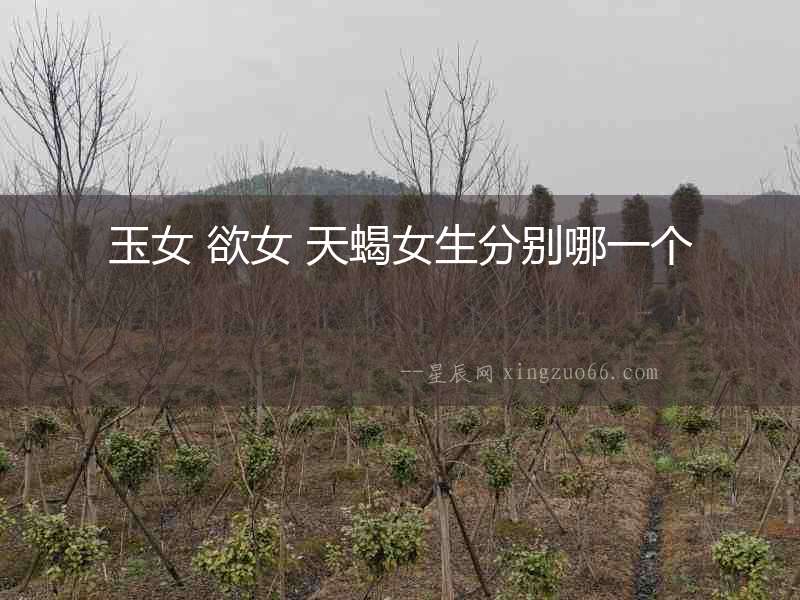 玉女 欲女 天蝎女生分別哪一個(gè)