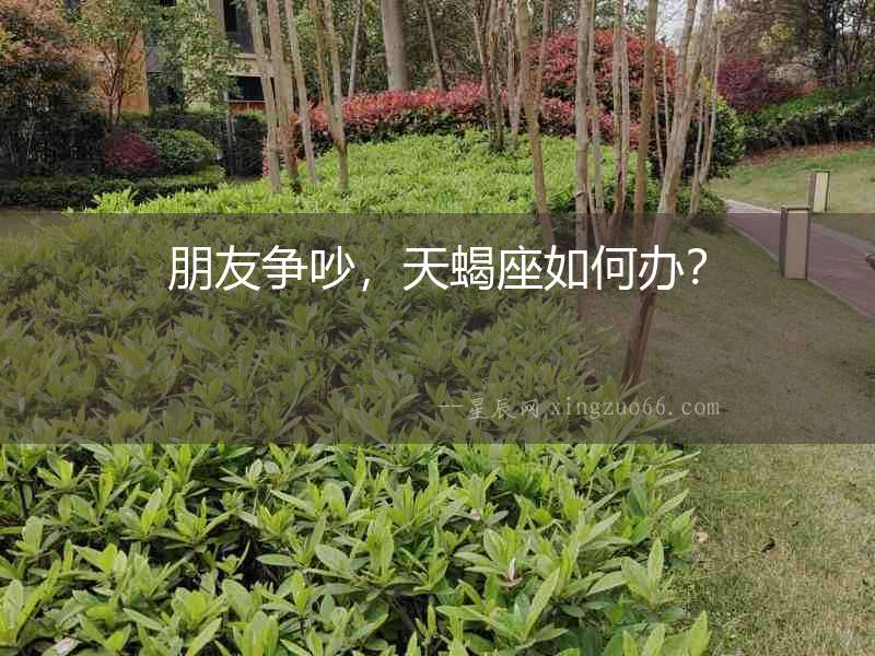 朋友爭吵，天蝎座如何辦？