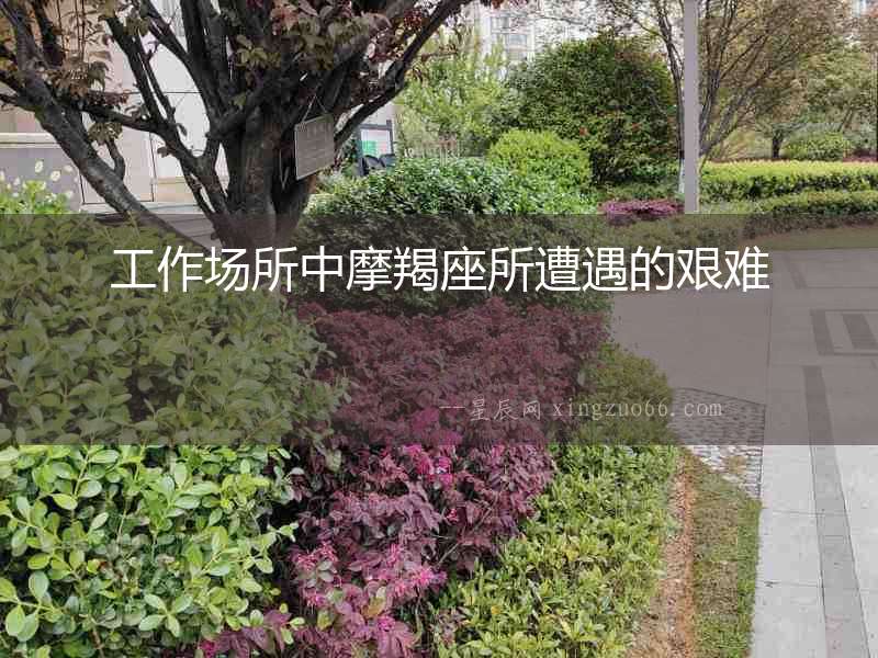 工作場所中摩羯座所遭遇的艱難