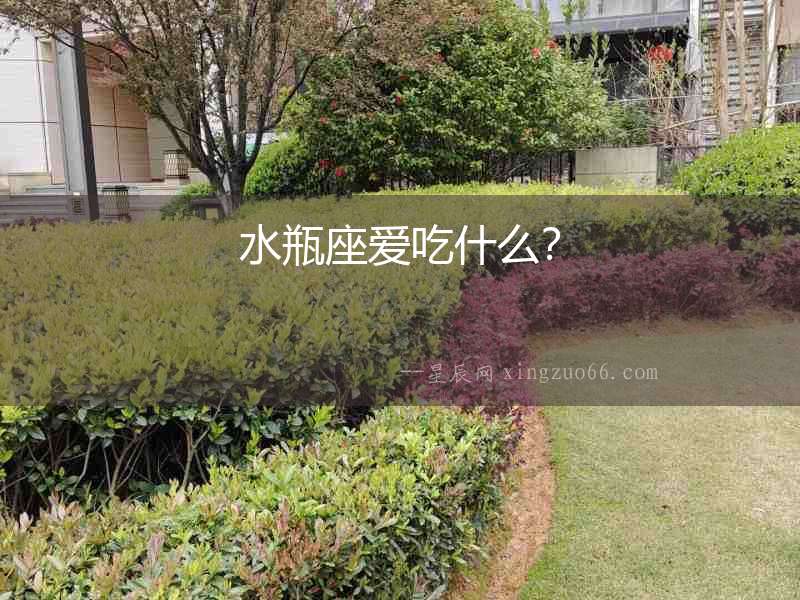 水瓶座愛吃什么？