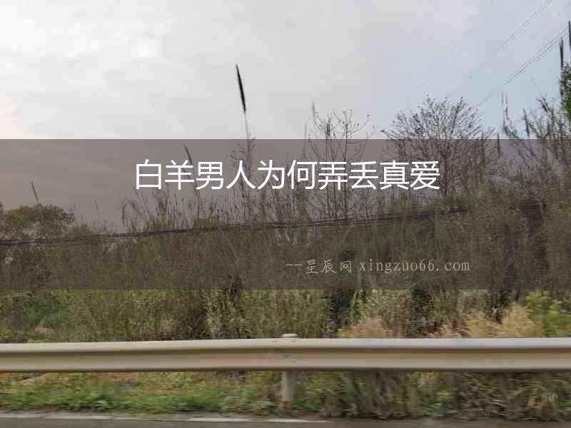 白羊男人為何弄丟真愛