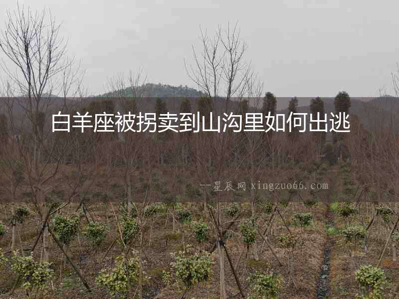 白羊座被拐賣到山溝里如何出逃