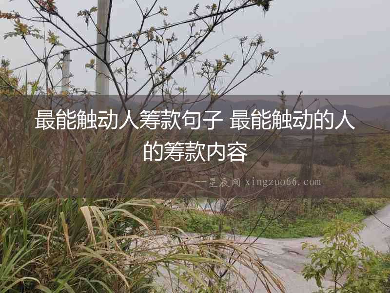 最能觸動人籌款句子 最能觸動的人的籌款內(nèi)容