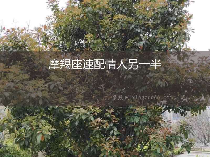 摩羯座速配情人另一半