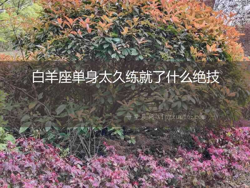 白羊座單身太久練就了什么絕技