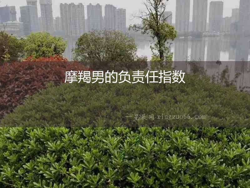 摩羯男的負責任指數