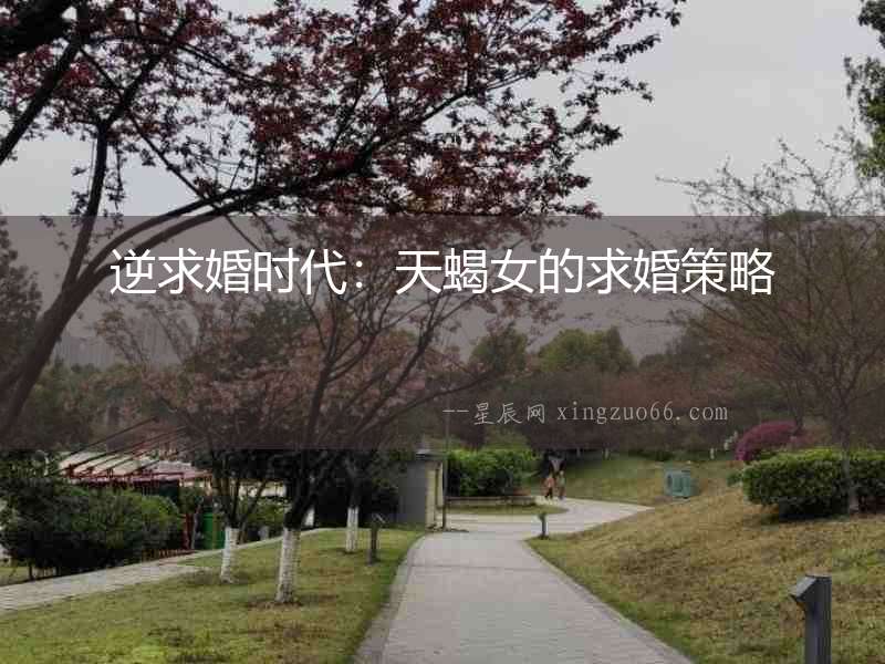 逆求婚時(shí)代：天蝎女的求婚策略