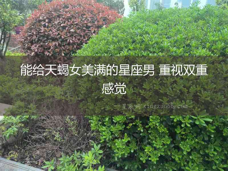 能給天蝎女美滿的星座男 重視雙重感覺