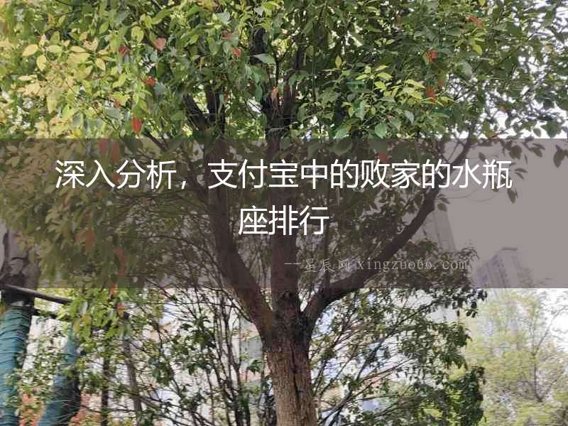 深入分析，支付寶中的敗家的水瓶座排行