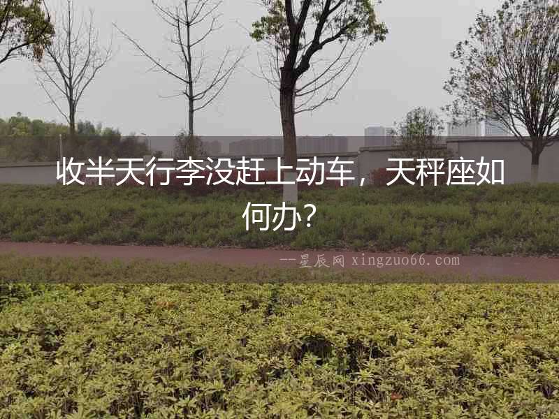 收半天行李沒趕上動車，天秤座如何辦？