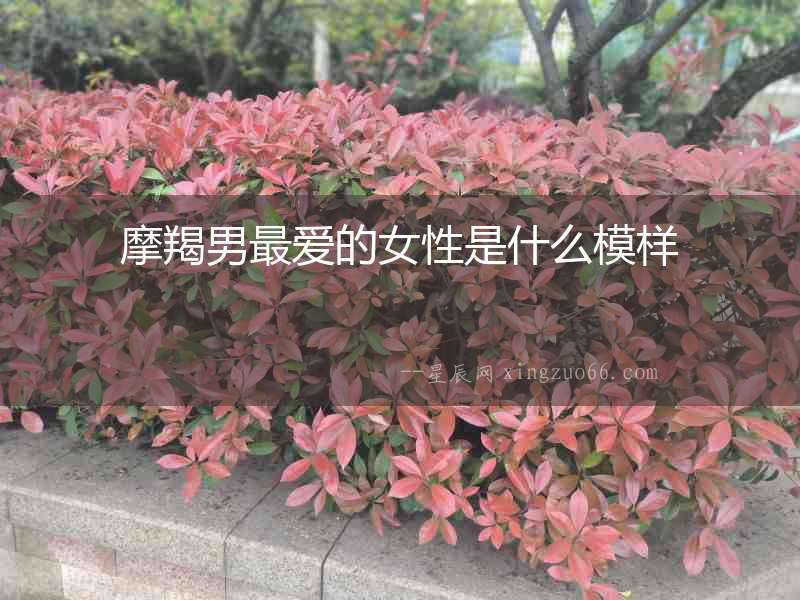 摩羯男最愛的女性是什么模樣