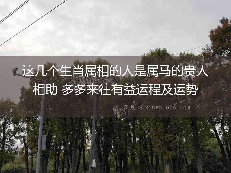 這幾個生肖屬相的人是屬馬的貴人相助 多多來往有益運程及運勢