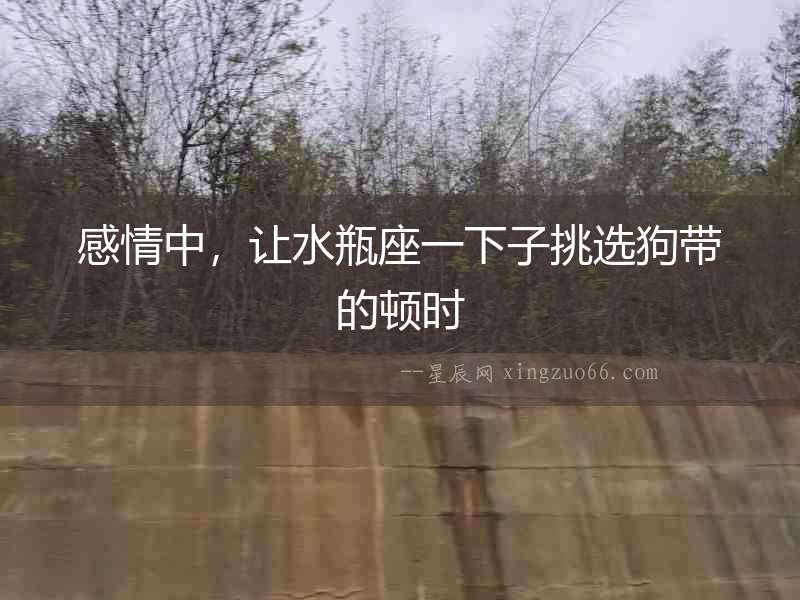 感情中，讓水瓶座一下子挑選狗帶的頓時(shí)