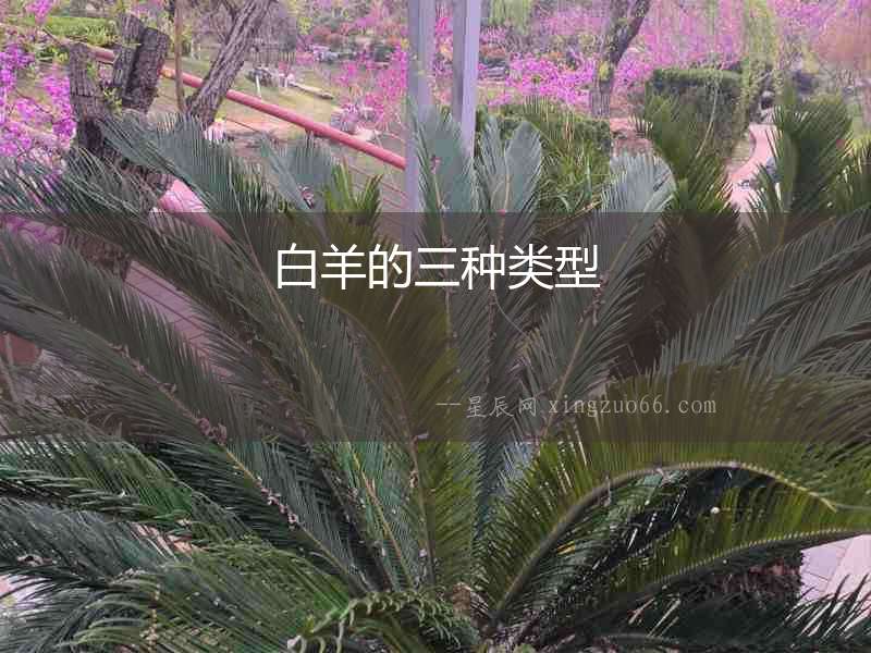 白羊的三種類型