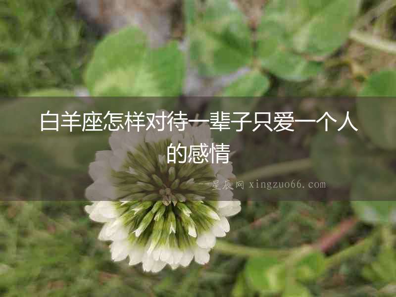 白羊座怎樣對待一輩子只愛一個人的感情