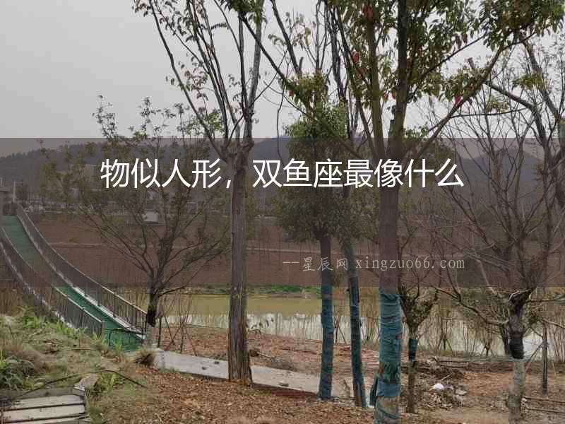 物似人形，雙魚座最像什么