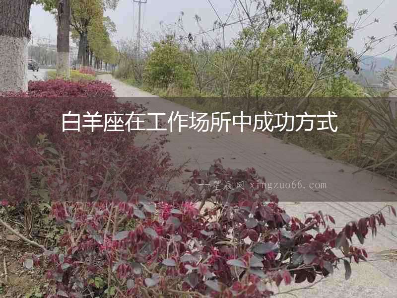 白羊座在工作場(chǎng)所中成功方式