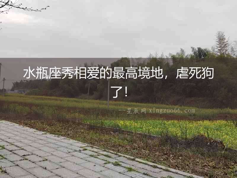 水瓶座秀相愛的最高境地，虐死狗了！