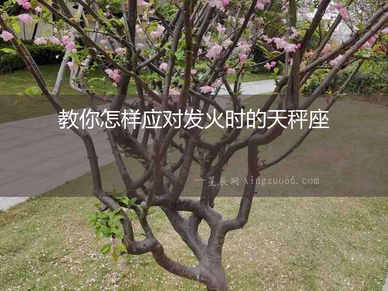 教你怎樣應對發火時的天秤座