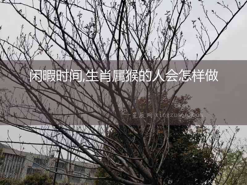 閑暇時間,生肖屬猴的人會怎樣做