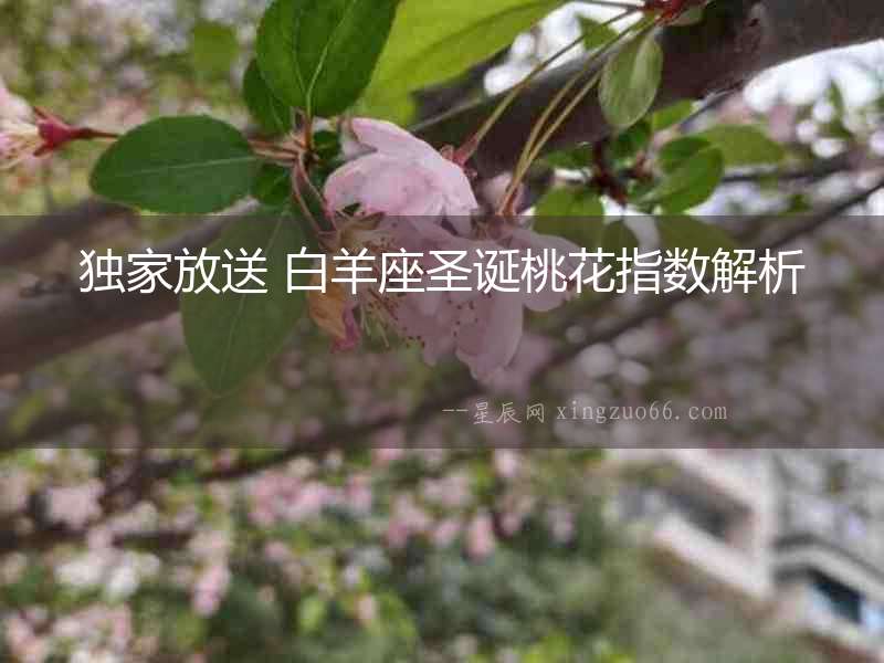 獨(dú)家放送 白羊座圣誕桃花指數(shù)解析