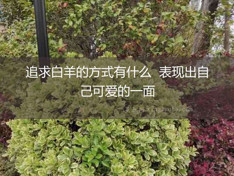 追求白羊的方式有什么  表現出自己可愛的一面