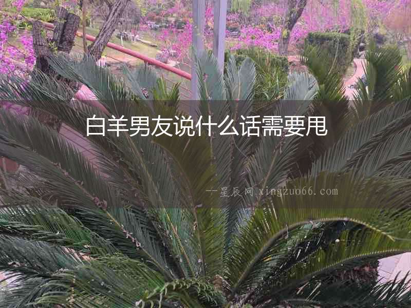 白羊男友說什么話需要甩