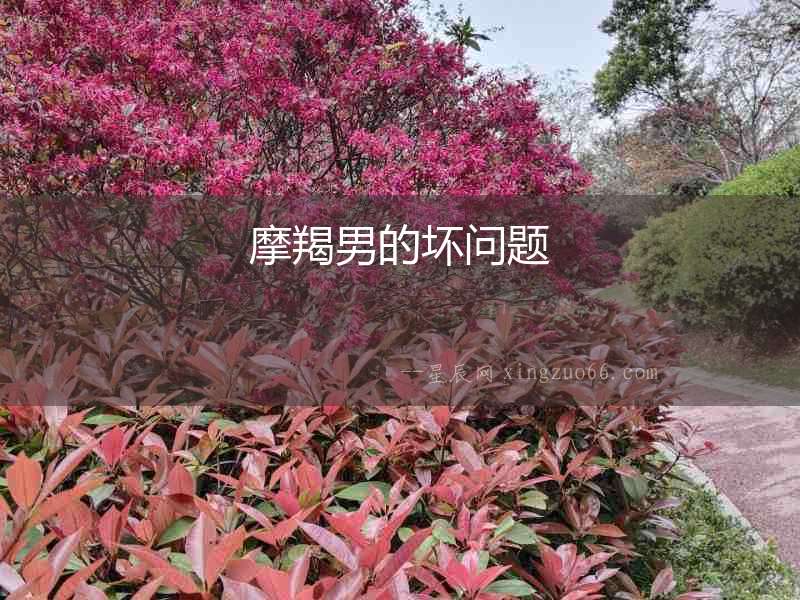 摩羯男的壞問題