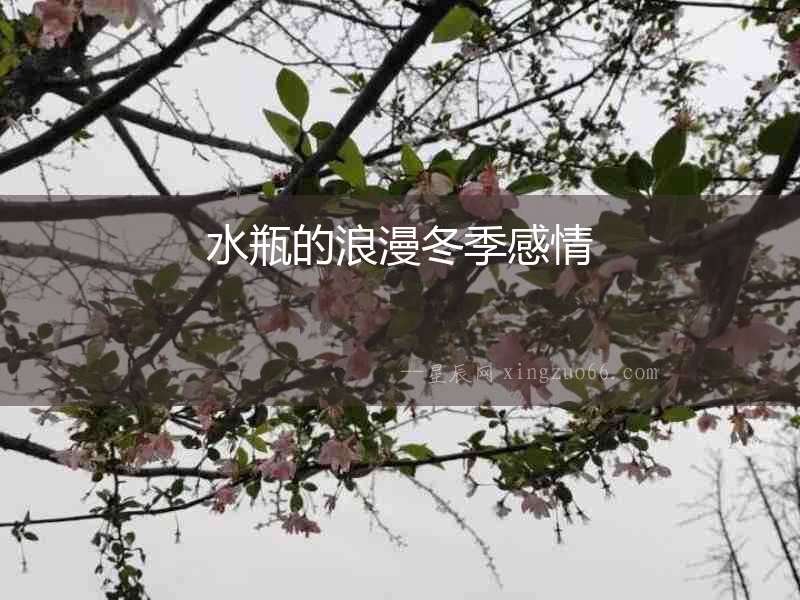 水瓶的浪漫冬季感情
