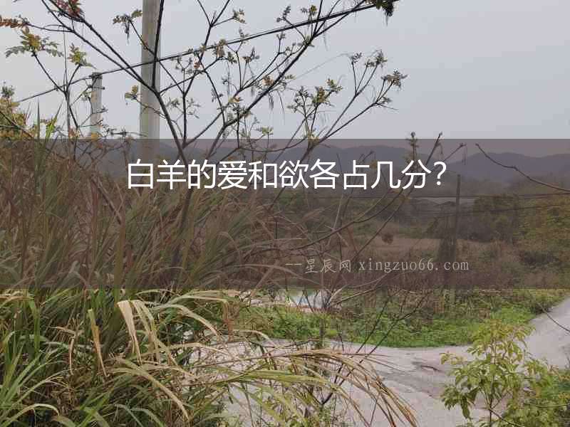 白羊的愛和欲各占幾分？