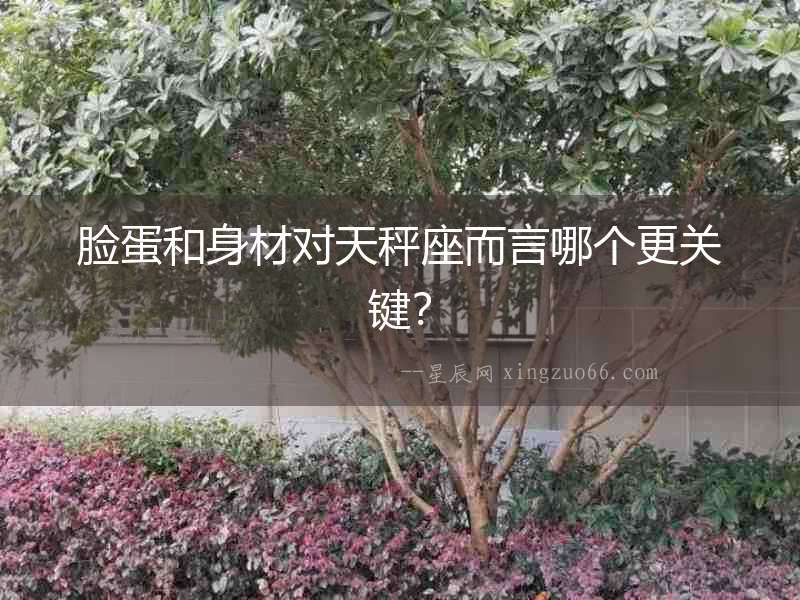 臉蛋和身材對天秤座而言哪個更關鍵？
