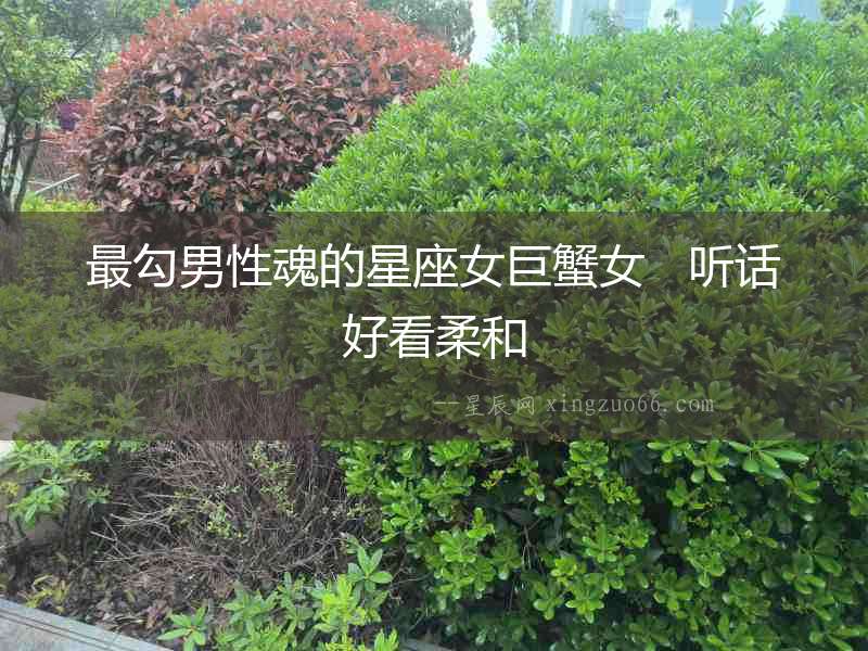最勾男性魂的星座女巨蟹女   聽話好看柔和