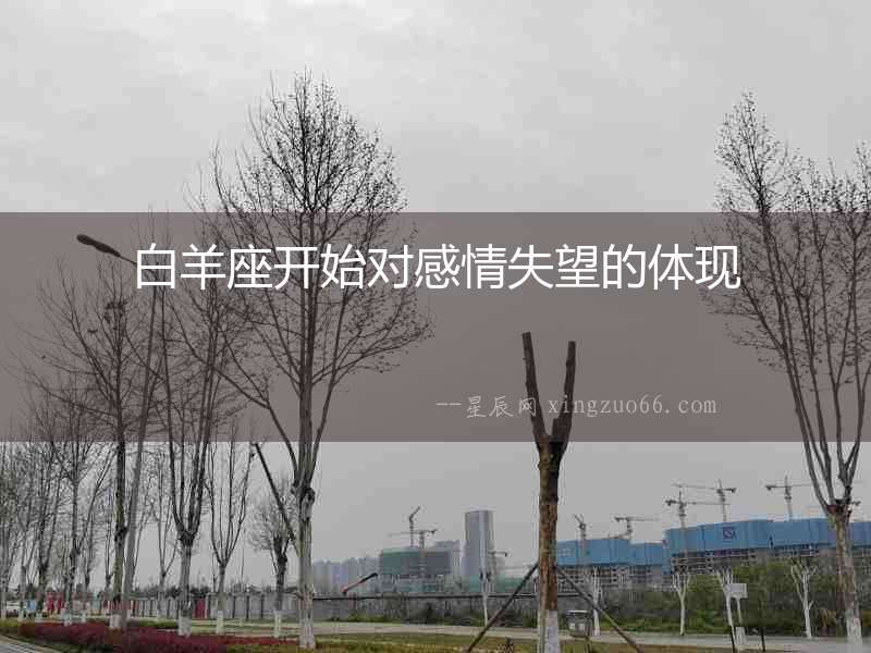 白羊座開始對感情失望的體現