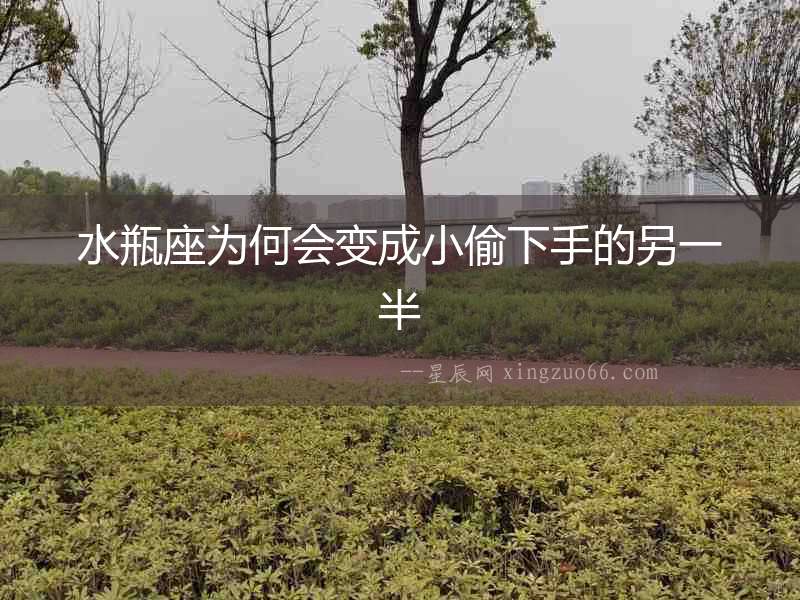 水瓶座為何會變成小偷下手的另一半