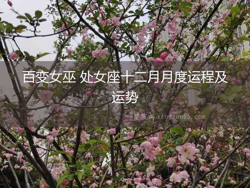 百變女巫 處女座十二月月度運(yùn)程及運(yùn)勢