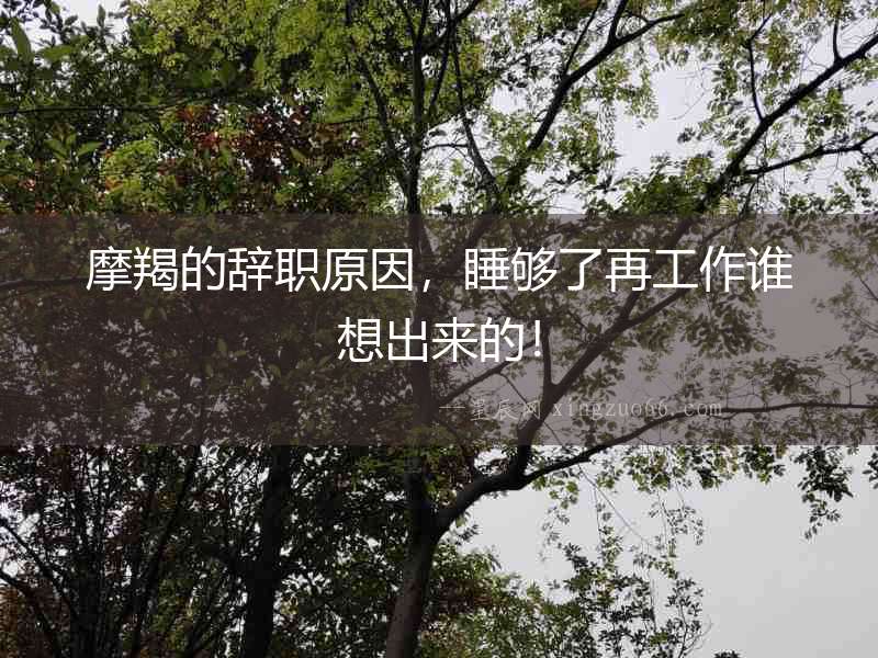 摩羯的辭職原因，睡夠了再工作誰想出來的！