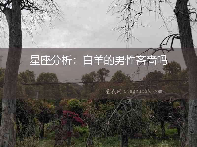 星座分析：白羊的男性吝嗇嗎