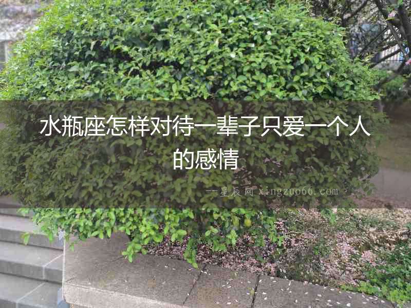 水瓶座怎樣對待一輩子只愛一個人的感情