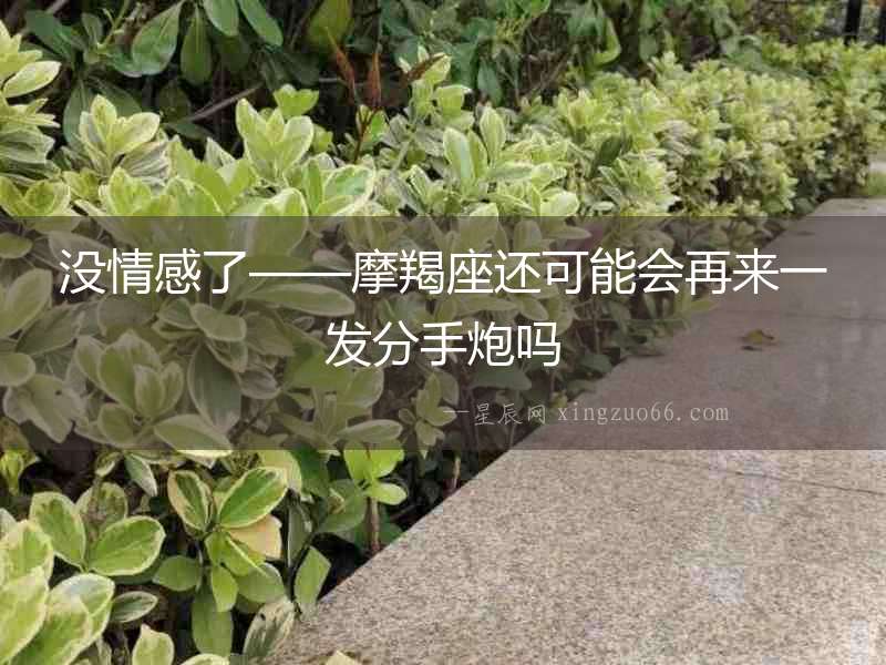 沒情感了——摩羯座還可能會(huì)再來一發(fā)分手炮嗎