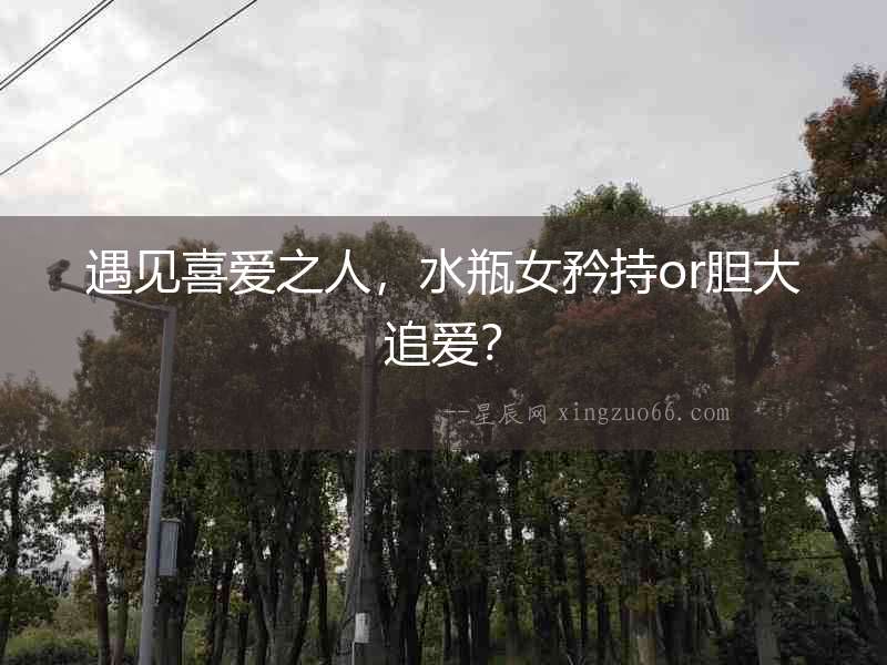 遇見喜愛之人，水瓶女矜持or膽大追愛？