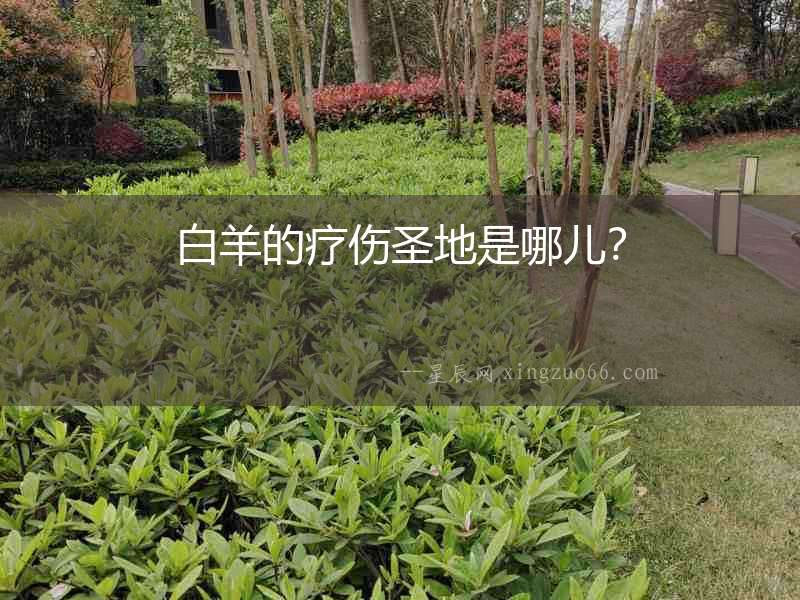 白羊的療傷圣地是哪兒？