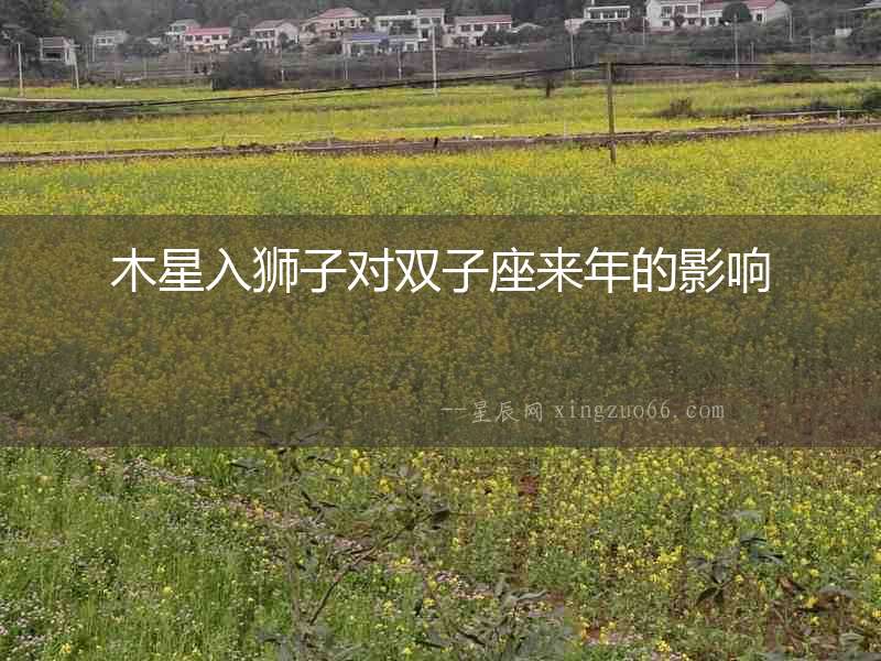 木星入獅子對雙子座來年的影響
